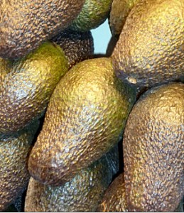 Aguacates de Málaga