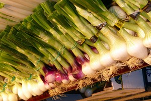 Variedad de cebolletas