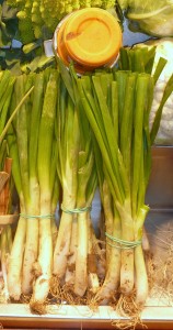 Calçots, cebollas tiernas de temporada