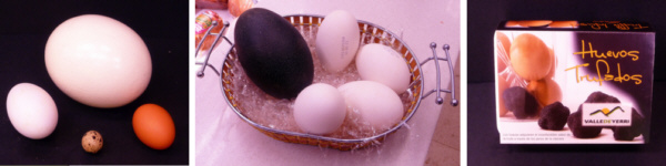 Todos los huevos del mundo en Pollería Selecta Hermanos Gómez