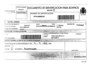 Documento que certifica la autenticidad de un buey gallego