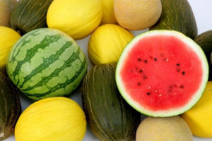 Melones y sandías en Frutas Charito