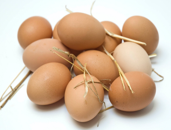 Huevos de gallinas ecológicas