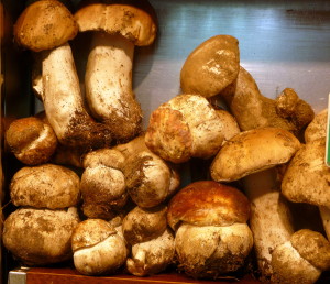 Boletus, la reina de las setas de otoño