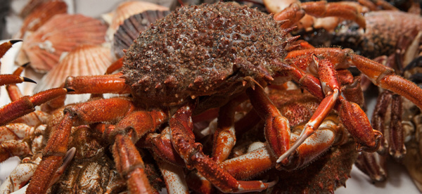 Mes del marisco en Pescaderías Ernesto Prieto