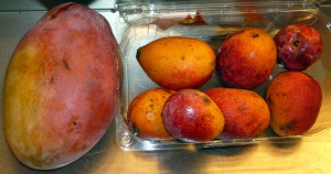 Mangos enanos