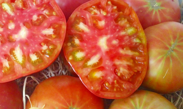 Tomate Rosa de Barbastro