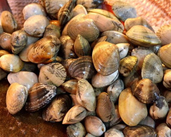 Almejas gallegas de Pescadería Ernesto Prieto