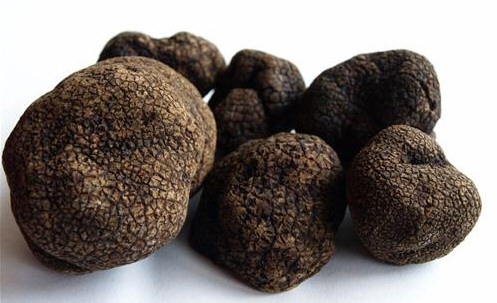 Cotizadas trufas negras en Frutas Charito