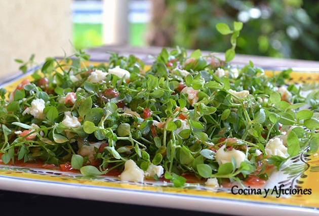 Ensalada de corujas