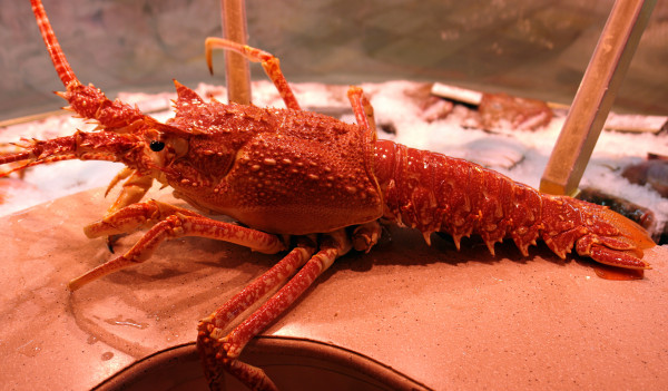 Langosta roja de Pescadería Ernesto Prieto