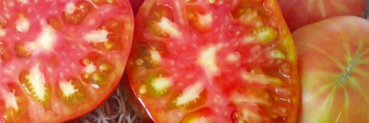 Tomates Rosa