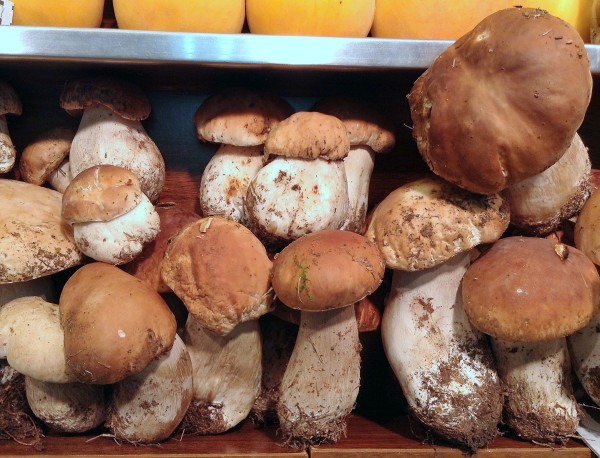 Funghi porcini en Frutas Charito