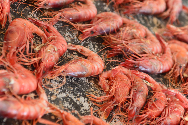 Gamba roja del Mediterráneo