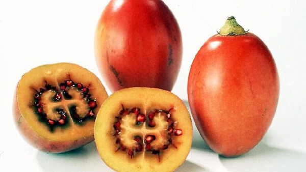 Tamarillo