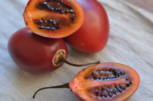 Tomate de árbol