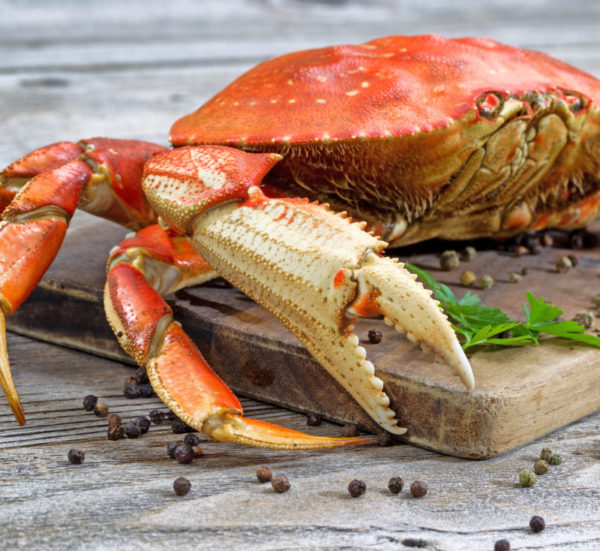 Marisco alimento saludable