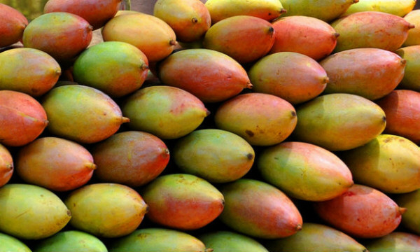Mangos, frutas tropicales
