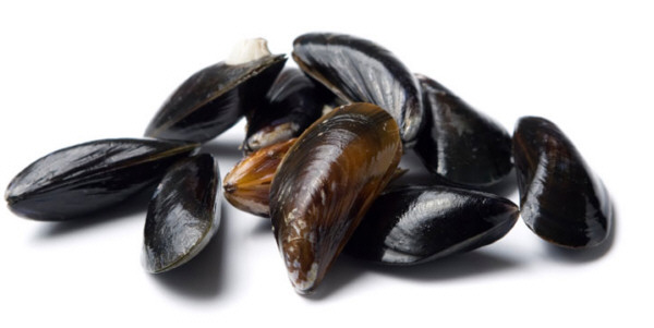 Mejillones