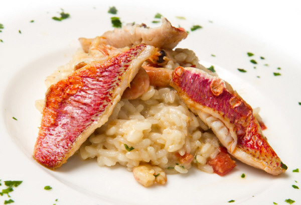 Salmonetes en risotto