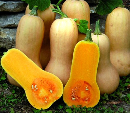 Calabazas