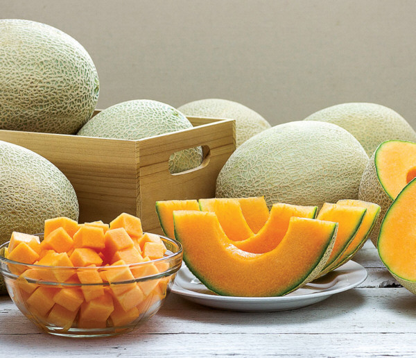 Melones de la variedad cantalupo