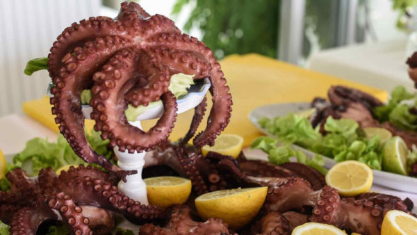 Pulpo gallego