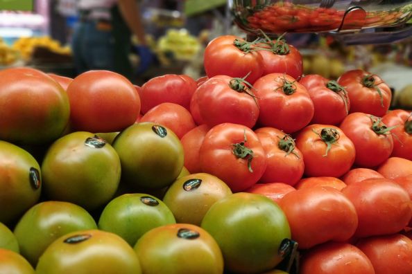 Tomates maduros de huerta y hortalizas de temporada listas para reparto a domicilio en Madrid.