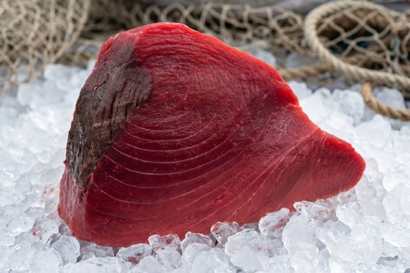 Lomo de atún rojo salvaje fresco expuesto sobre hielo en una pescadería tradicional de Madrid.