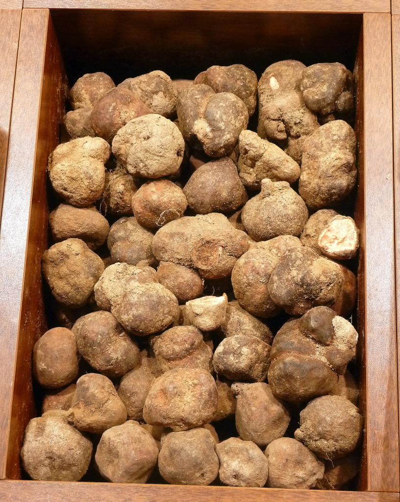 criadillas de tierra Archivos Del mercado a tu mesa