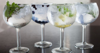 Variedades de gin tonic