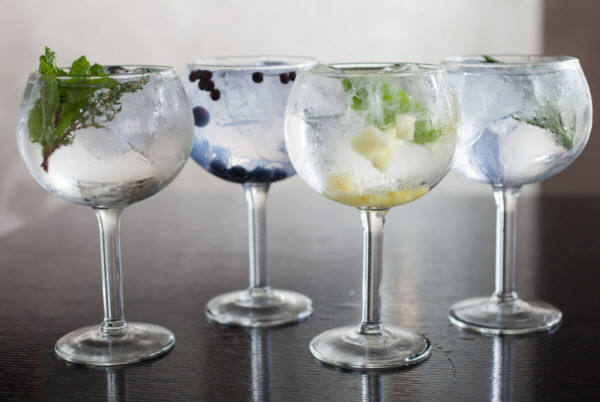 Variedades de gin tonic