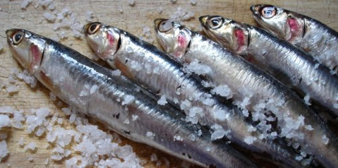 Boquerones, el pequeño pescado azul