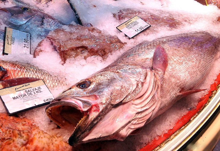 Corvina en Pescadería Ernesto Prieto