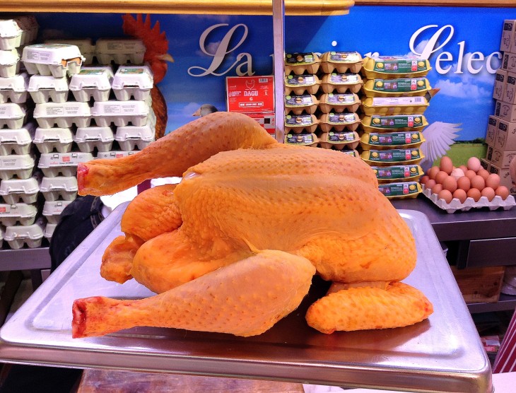 Pollo de corral criado en Galicia y alimentado con maiz