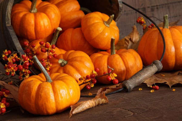 Calabaza, alimento perfecto